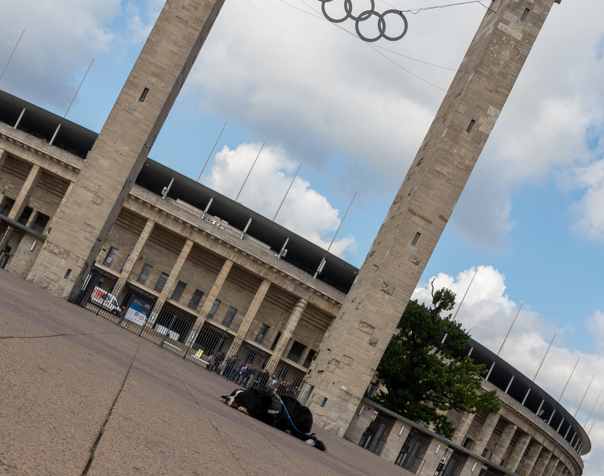 Mehr über den Artikel erfahren Ein Berner in Berlin
