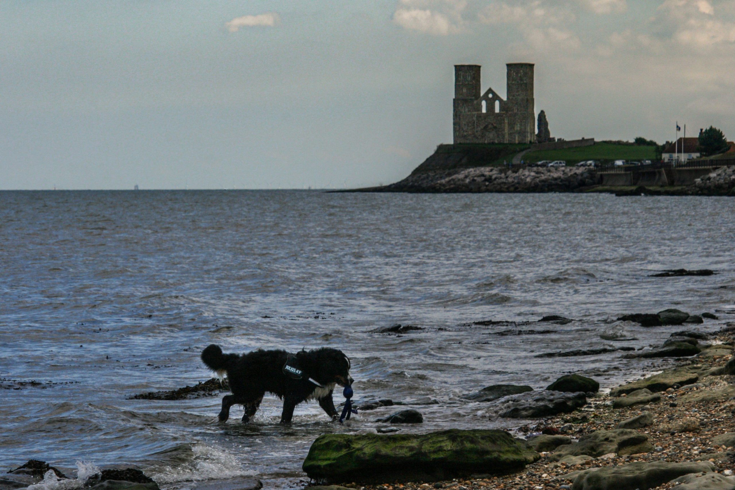 Sam und Reculver